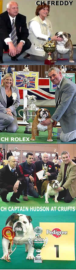 Bulldog rolex ocobo freddy mystyle, captain hudson mystyle